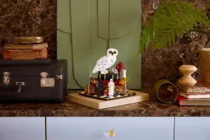 76466 Harry potter Sorcerer's Stone # Collectors' Edition - 11