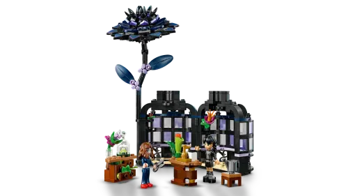 76784 Black Dahlia Flower - 5