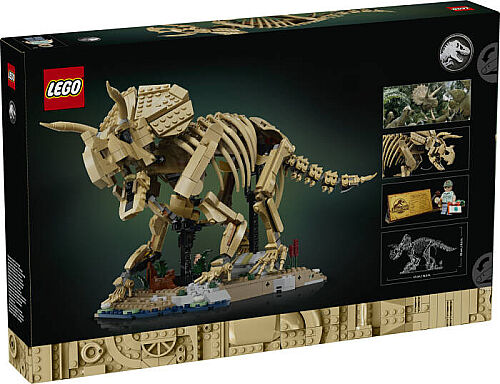 77985 Jurassic World Dinosaur Fossils: Triceratops - 3