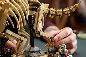 77985 Jurassic World Dinosaur Fossils: Triceratops - 8