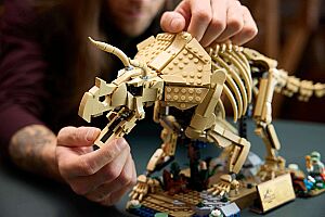 77985 Jurassic World Dinosaur Fossils: Triceratops - 9