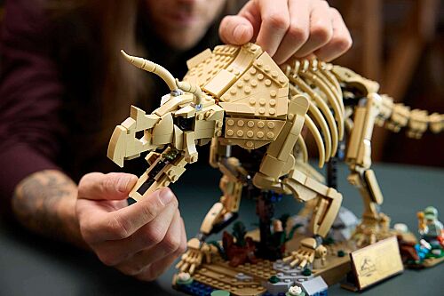 77985 Jurassic World Dinosaur Fossils: Triceratops - 9