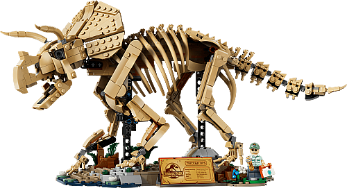 77985 Jurassic World Dinosaur Fossils: Triceratops - 4