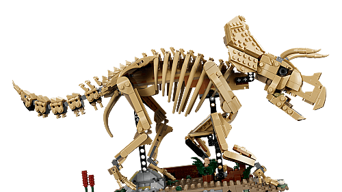 77985 Jurassic World Dinosaur Fossils: Triceratops - 6