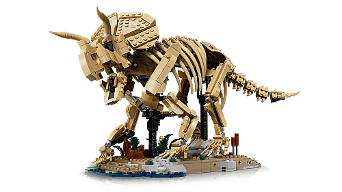 77985 Jurassic World Dinosaur Fossils: Triceratops - 5
