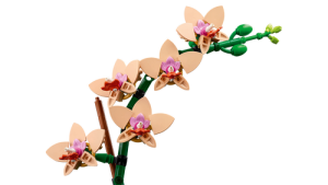 10343 Botanical Mini Orchid - 6