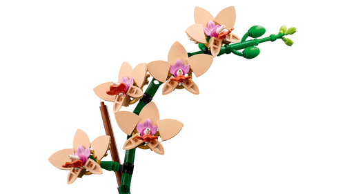 10343 Botanical Mini Orchid - 6