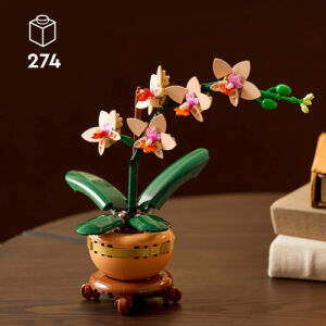10343 Botanical Mini Orchid - 4
