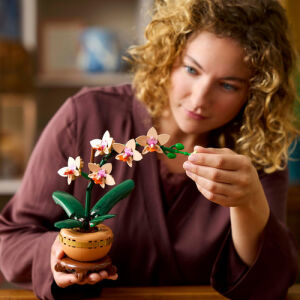 10343 Botanical Mini Orchid - 7