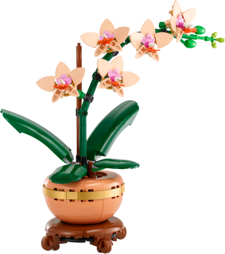 10343 Botanical Mini Orchid - 5