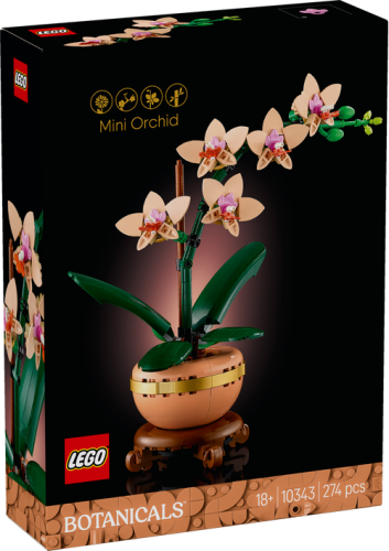 10343 Botanical Mini Orchid - 2
