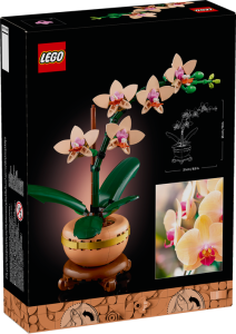 10343 Botanical Mini Orchid - 3