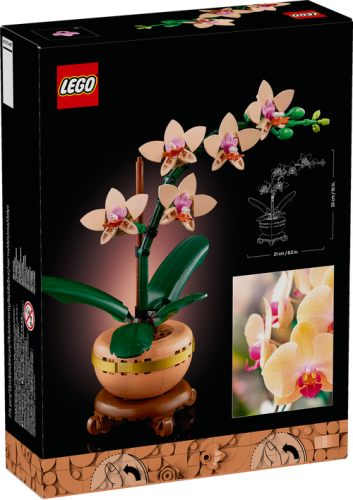 10343 Botanical Mini Orchid - 3