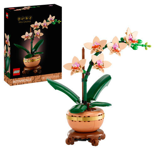 10343 Botanical Mini Orchid - 1