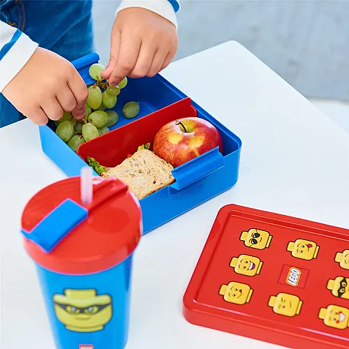40520001 LEGO Lunch Box Iconic - 3